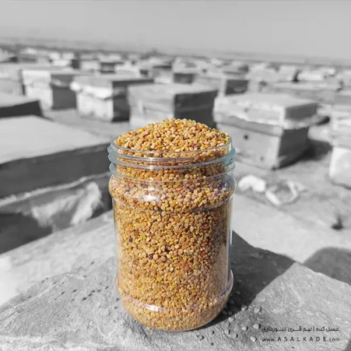 گرده گل خالص کوهستانی یک کیلوگرمی